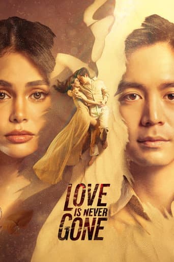 Love Is Never Gone